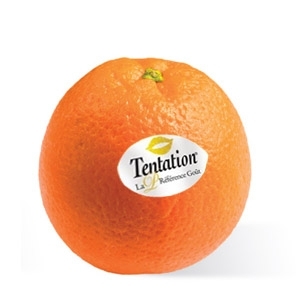 Sinaasappel met sticker - Afbeelding 1